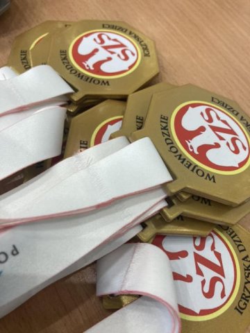 b_1024_768_0_00_images_2022_2023_WF_wojewodzka_siatka_348958891_213639787802983_8135298586741940433_n